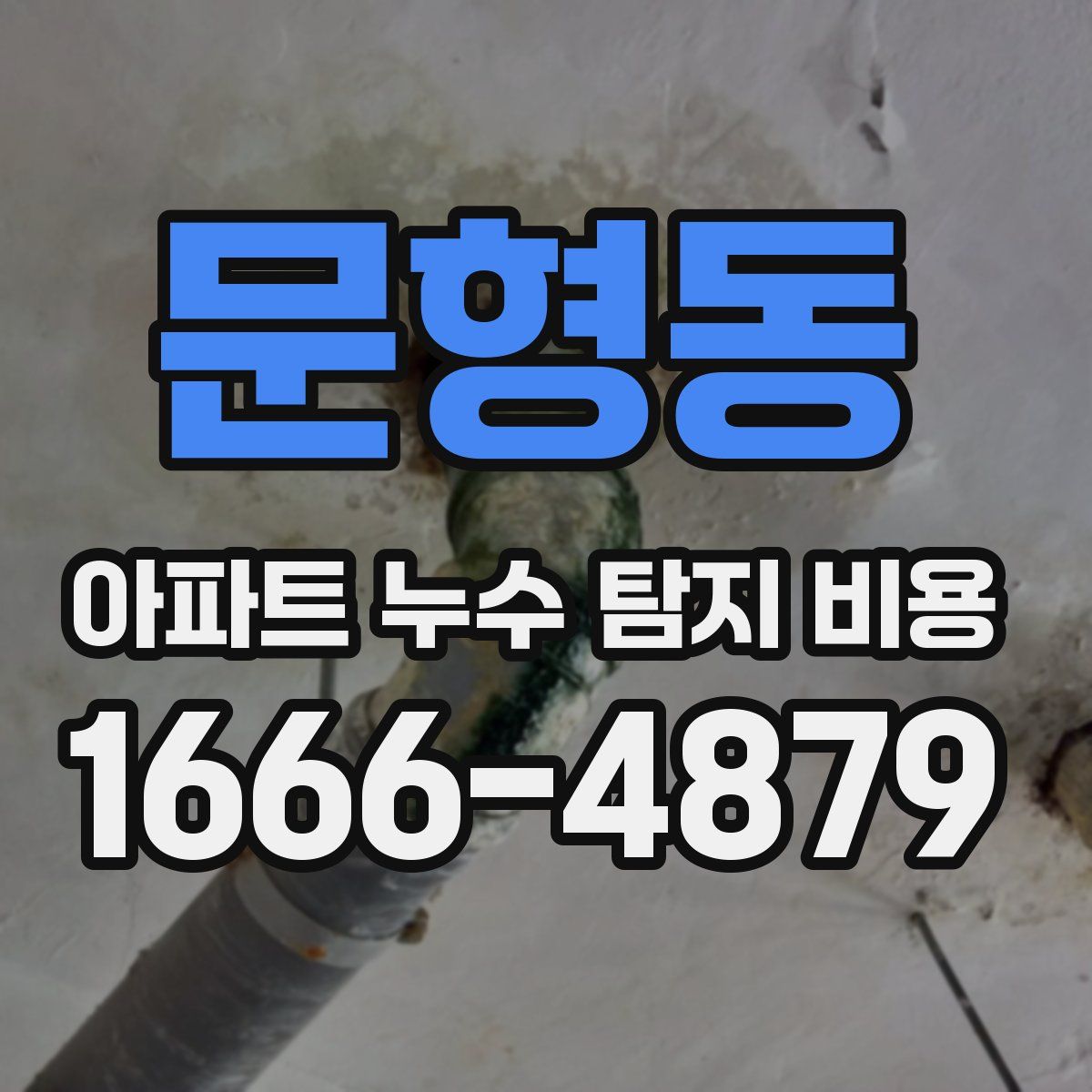 문형동 아파트 누수 탐지 비용