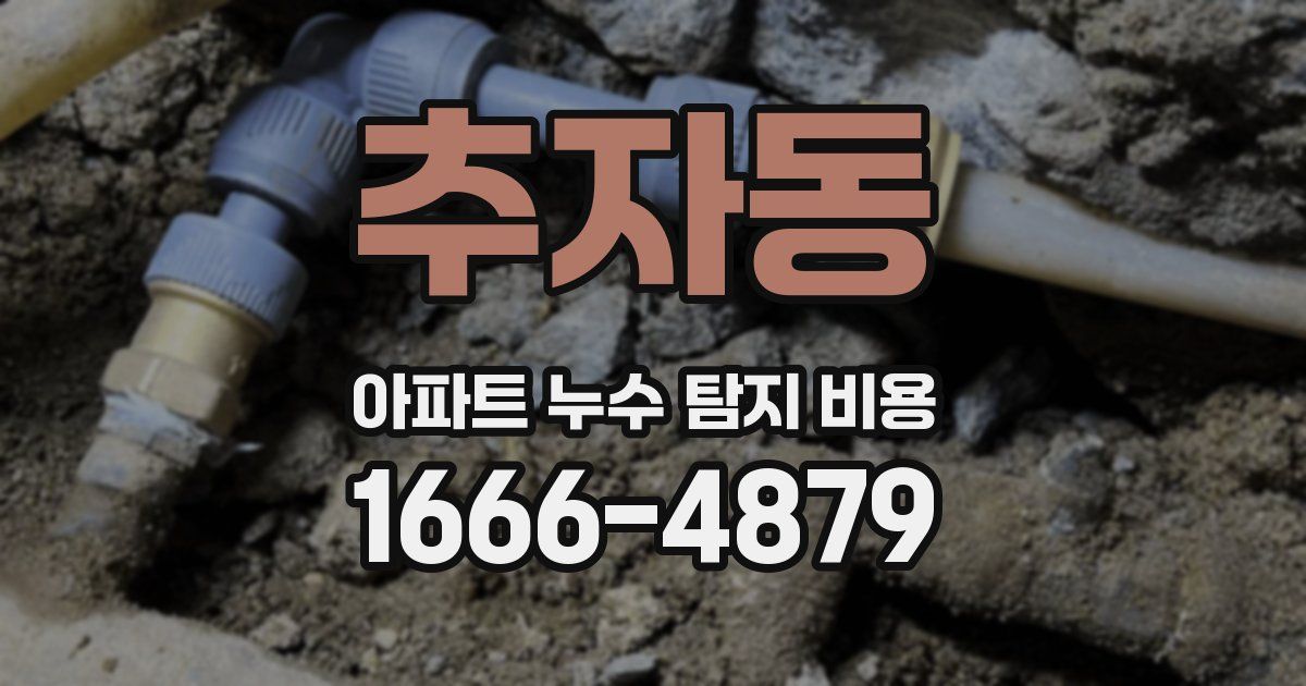 추자동 아파트 누수 탐지 비용
