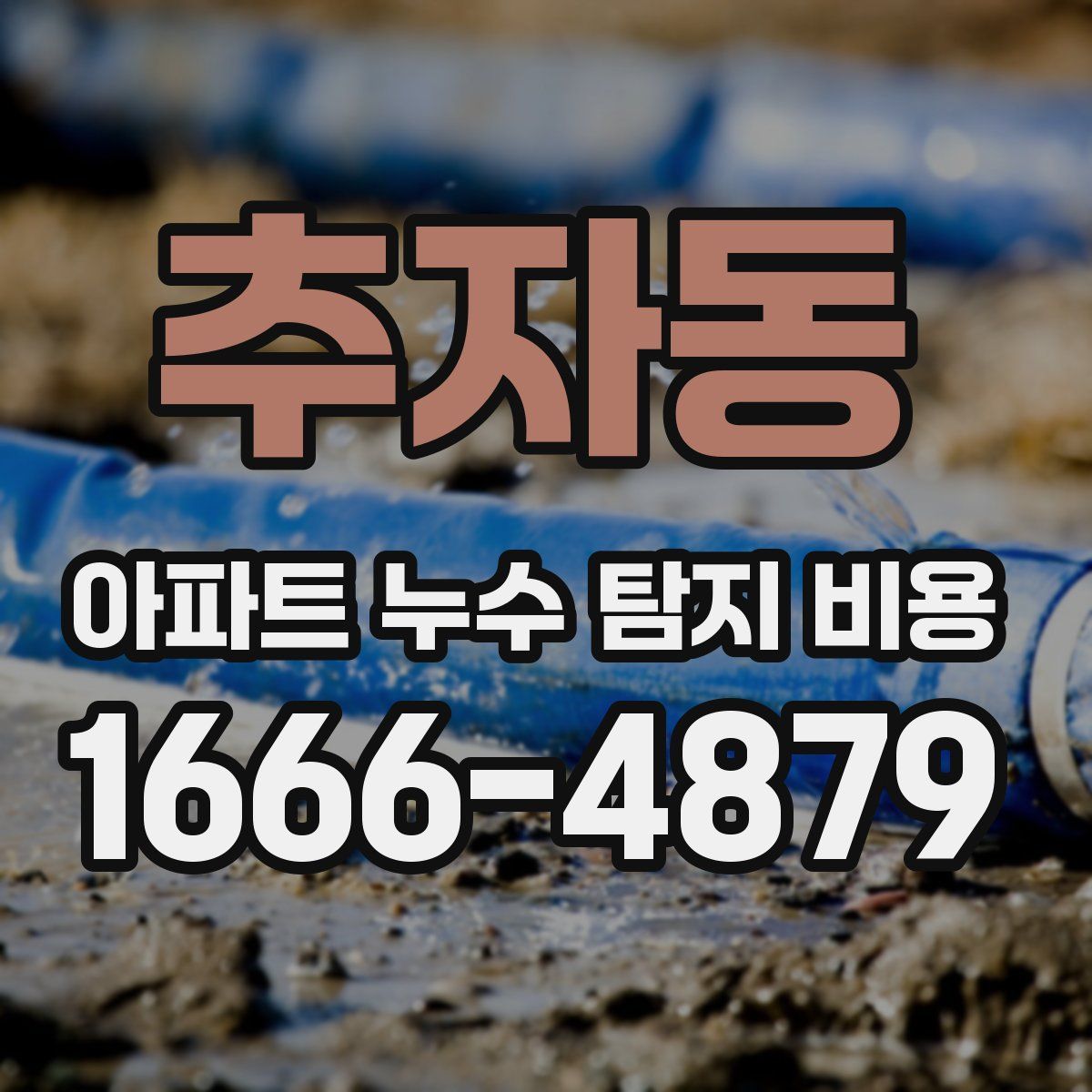 추자동 아파트 누수 탐지 비용