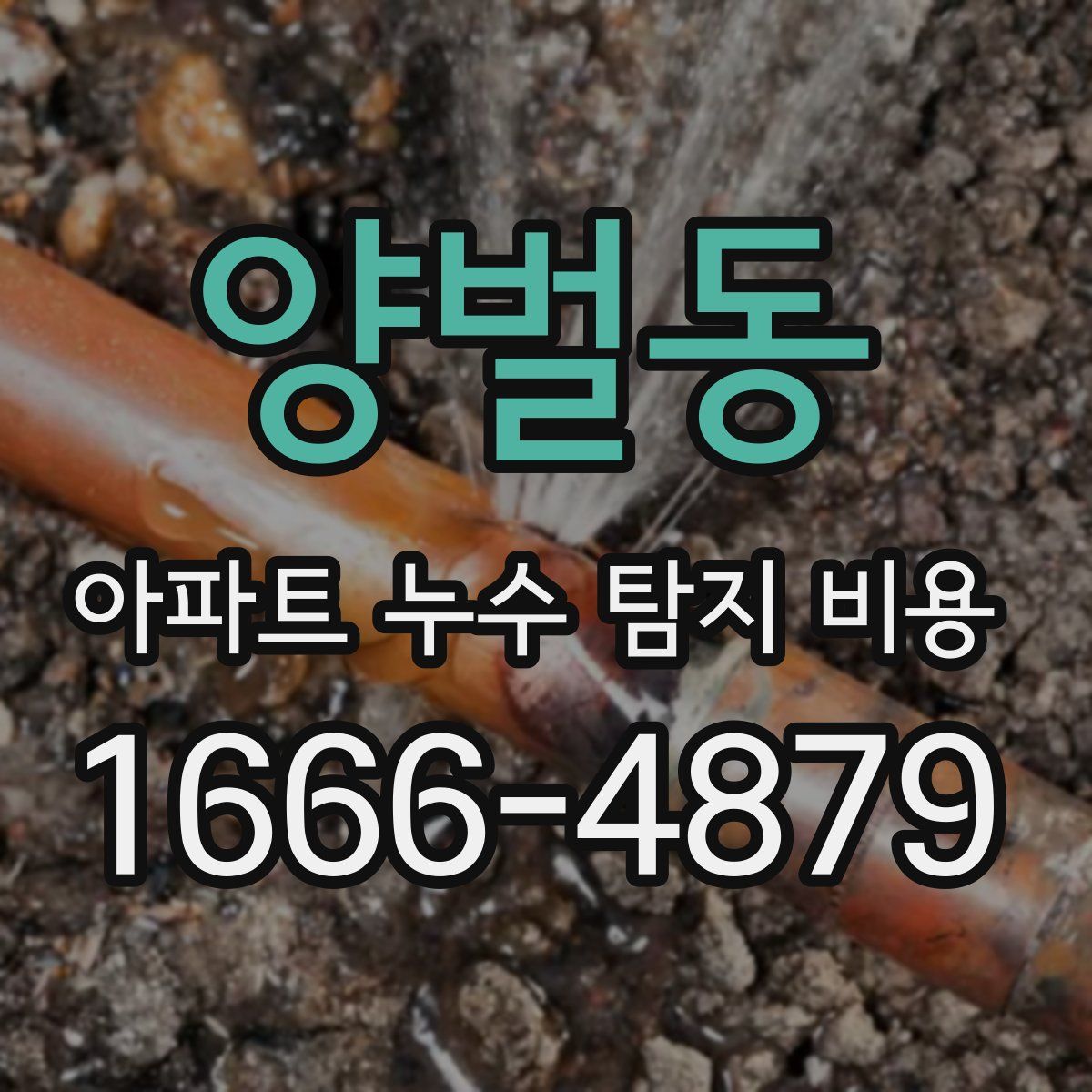 양벌동 아파트 누수 탐지 비용