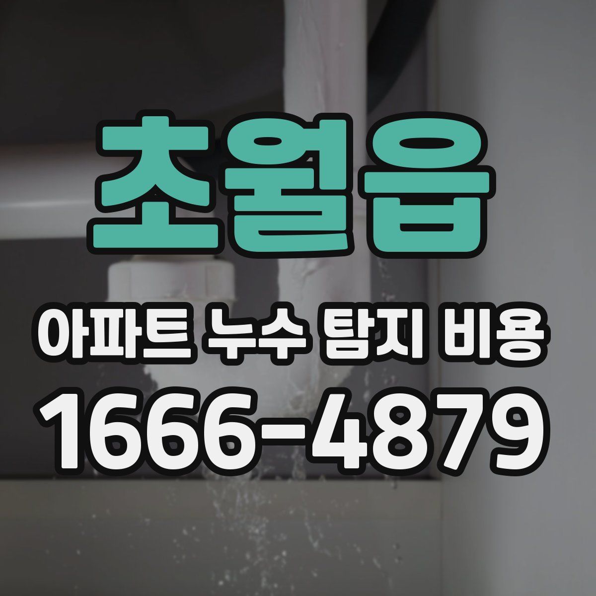 초월읍 아파트 누수 탐지 비용