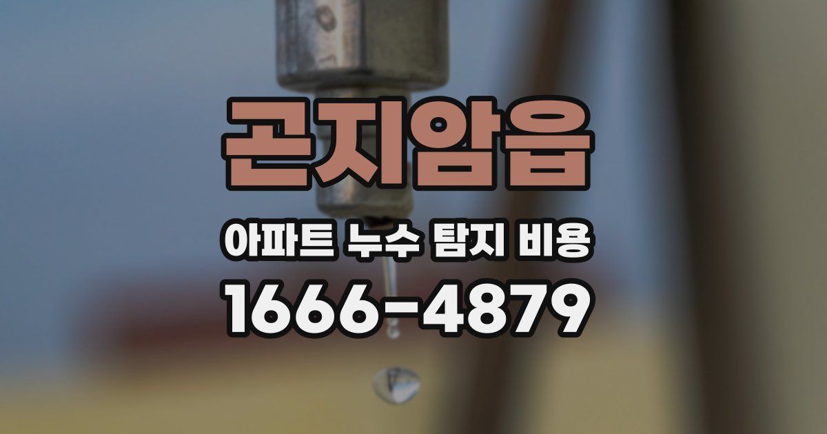 곤지암읍 아파트 누수 탐지 비용