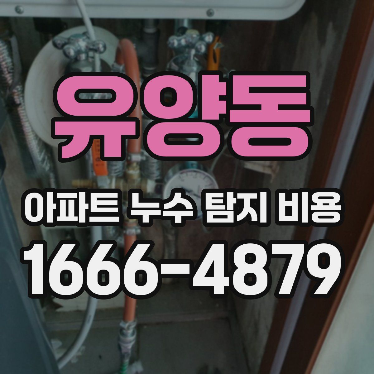 유양동 아파트 누수 탐지 비용