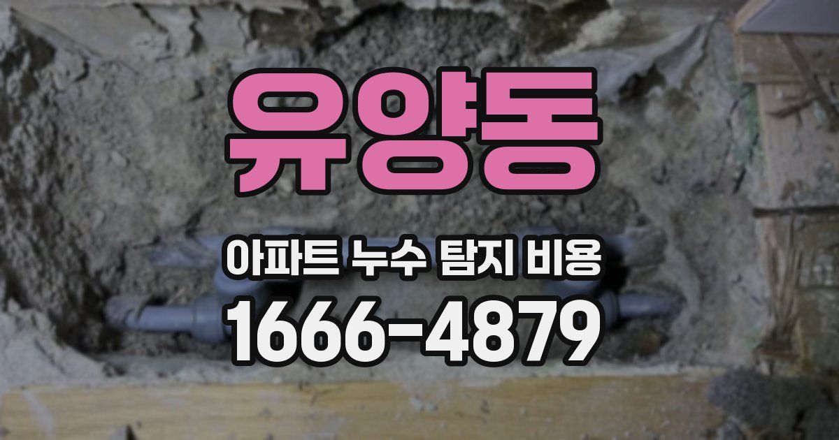 유양동 아파트 누수 탐지 비용