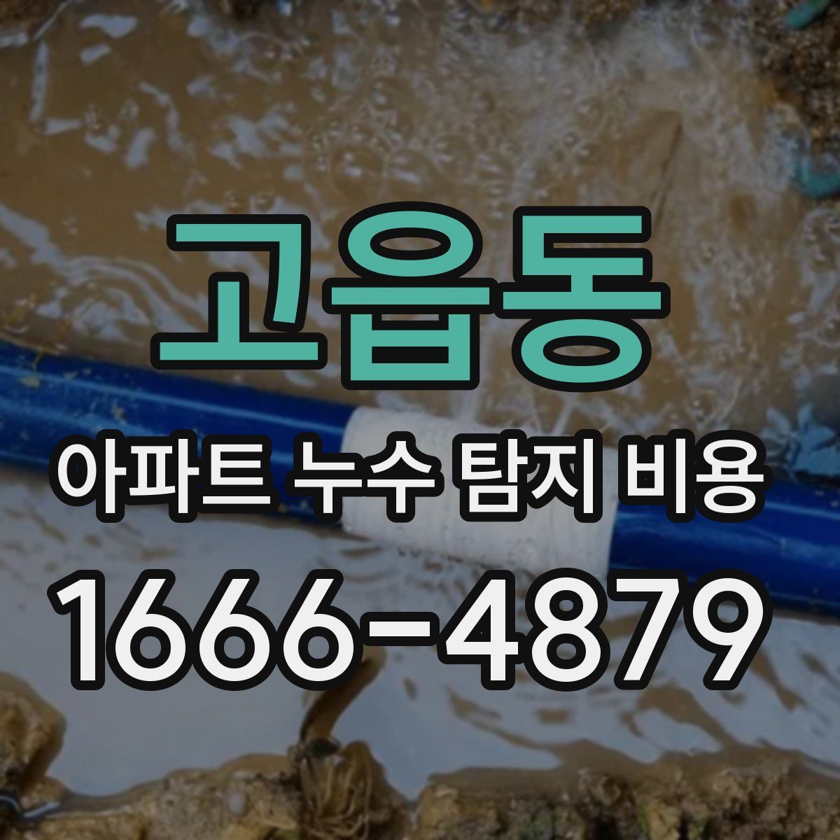 고읍동 아파트 누수 탐지 비용