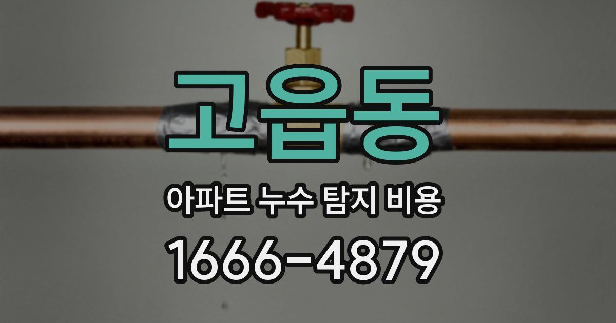 고읍동 아파트 누수 탐지 비용