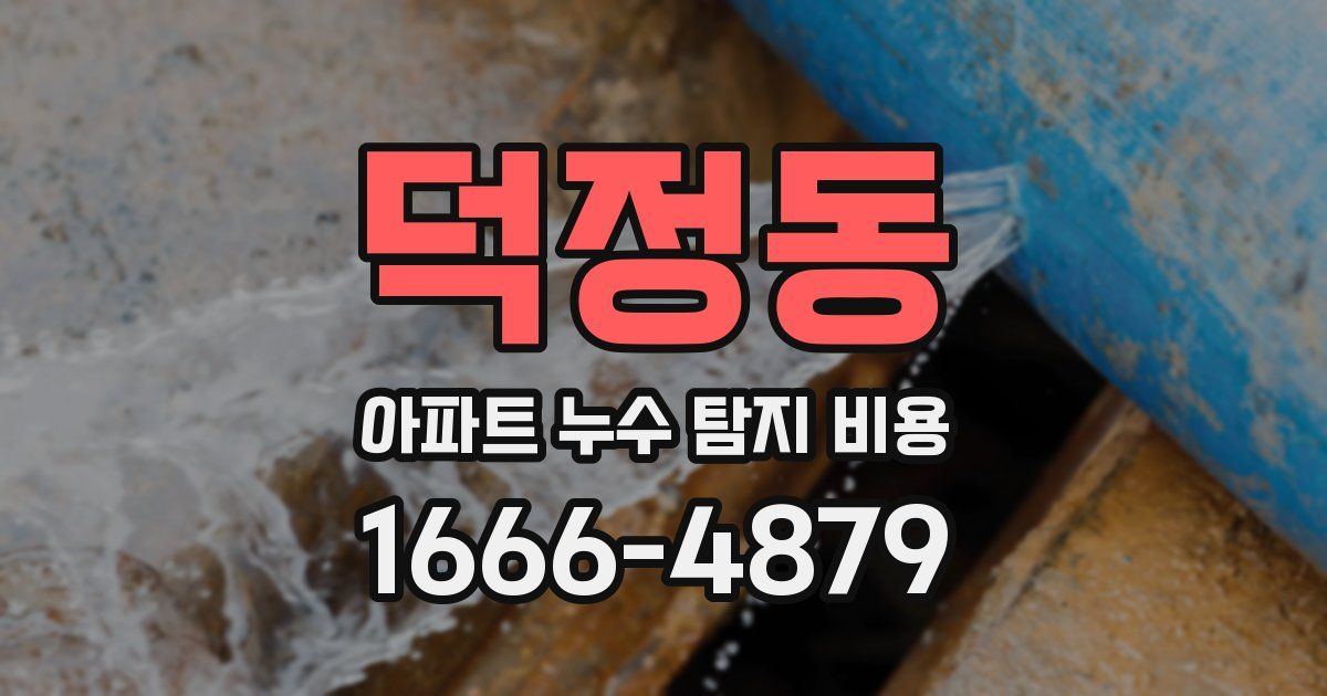 덕정동 아파트 누수 탐지 비용