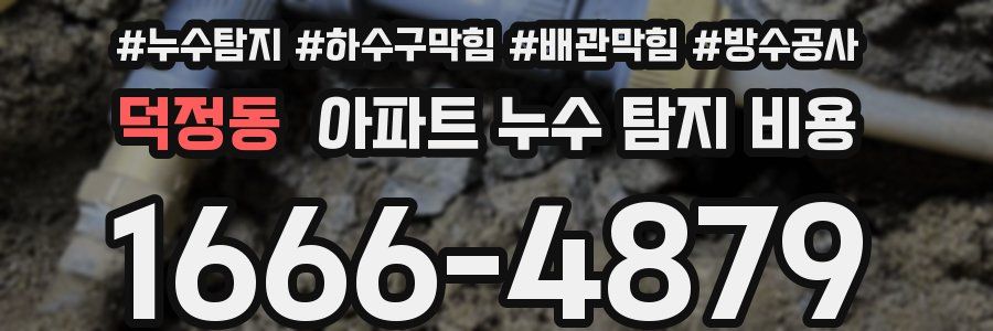 덕정동 아파트 누수 탐지 비용