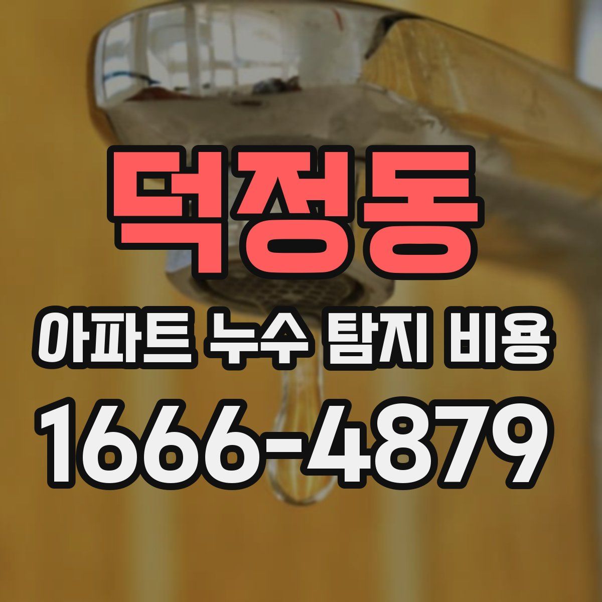 덕정동 아파트 누수 탐지 비용