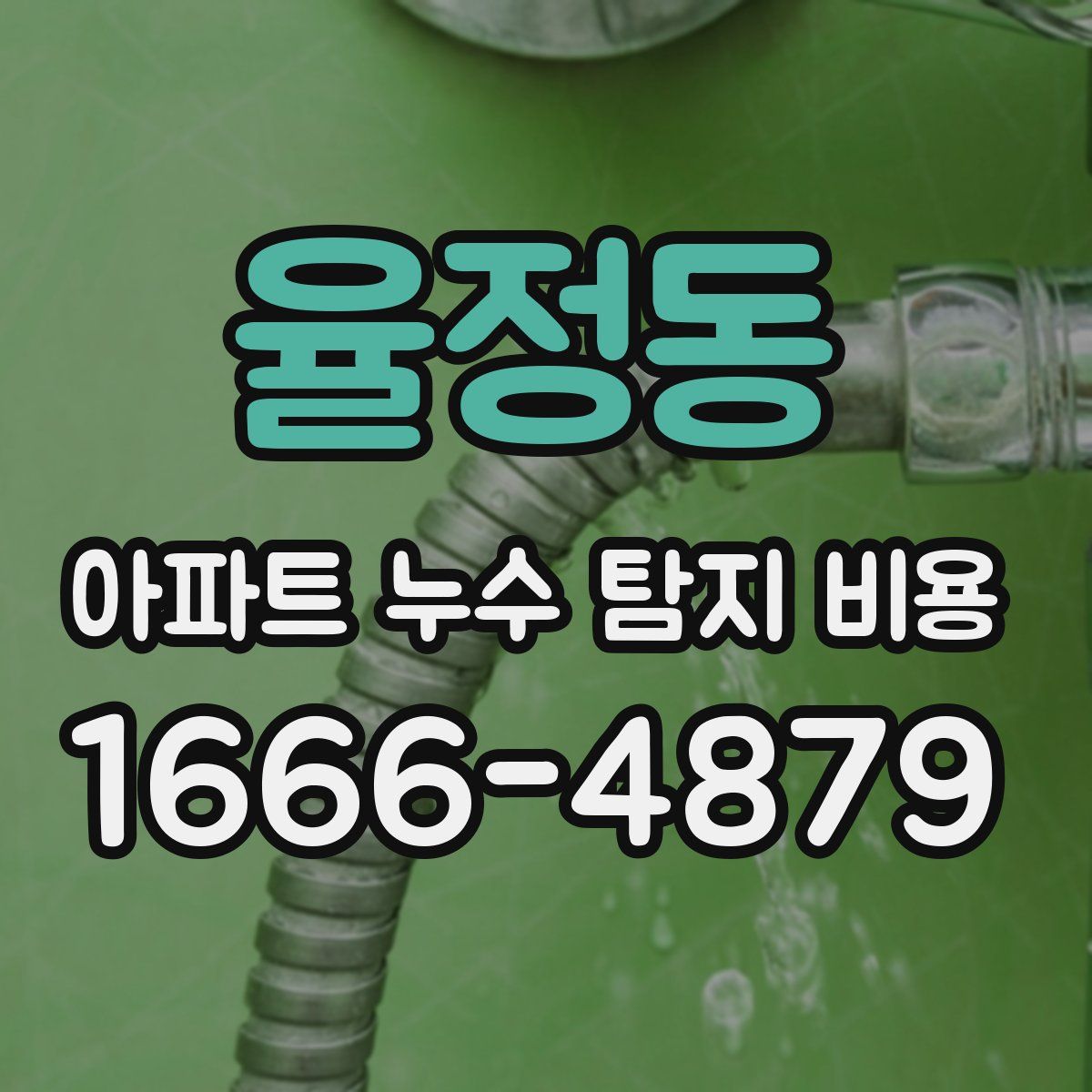 율정동 아파트 누수 탐지 비용
