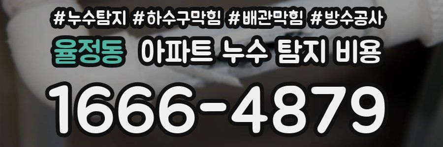 율정동 아파트 누수 탐지 비용