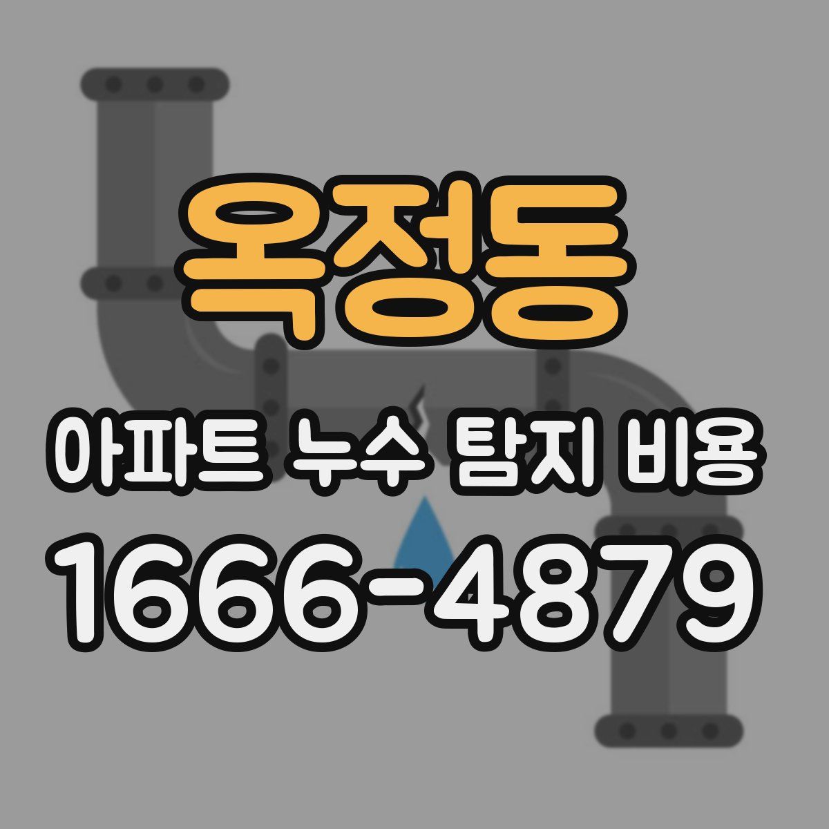 옥정동 아파트 누수 탐지 비용