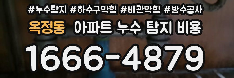 옥정동 아파트 누수 탐지 비용