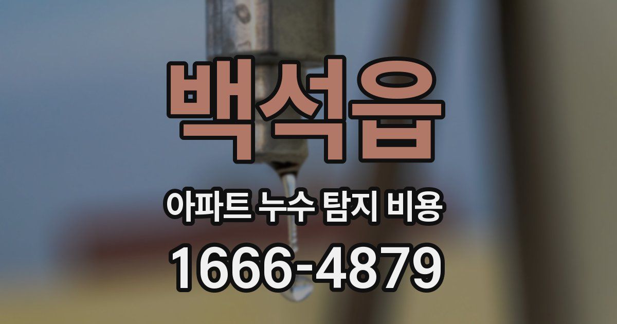 백석읍 아파트 누수 탐지 비용