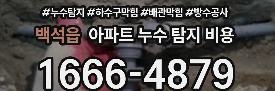 백석읍 아파트 누수 탐지 비용