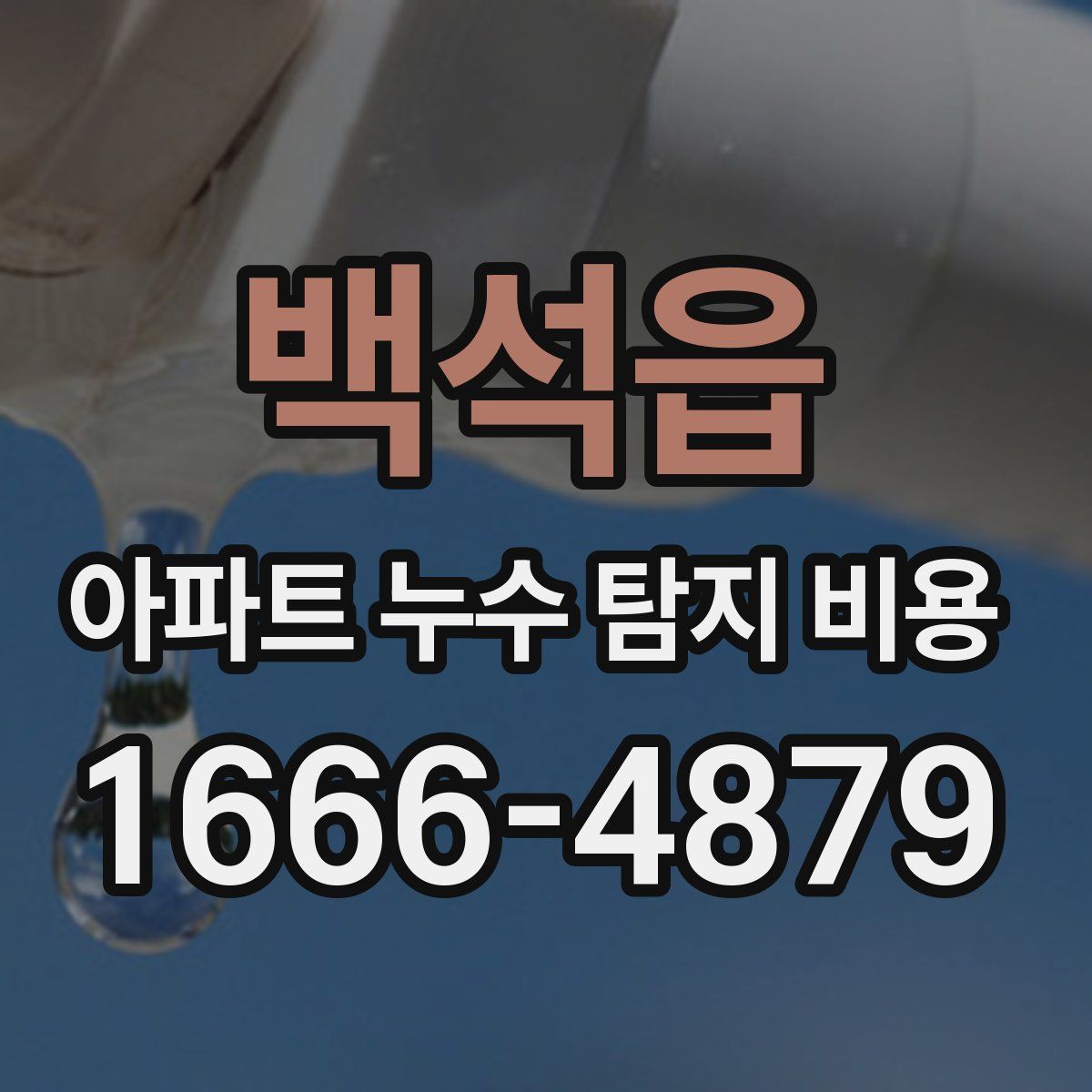 백석읍 아파트 누수 탐지 비용