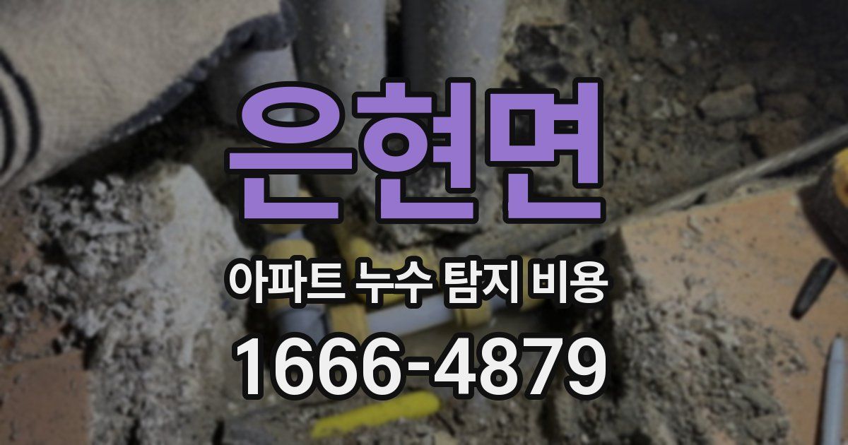 은현면 아파트 누수 탐지 비용