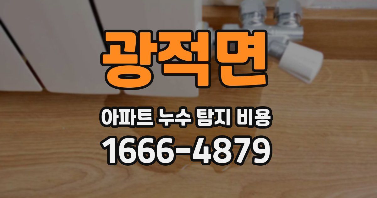 광적면 아파트 누수 탐지 비용