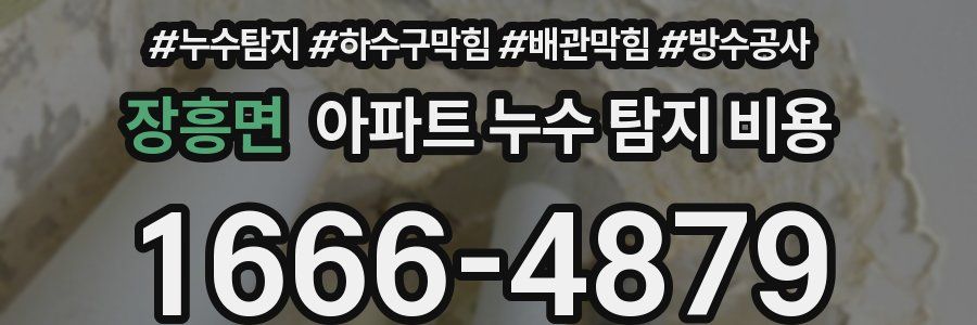 장흥면 아파트 누수 탐지 비용