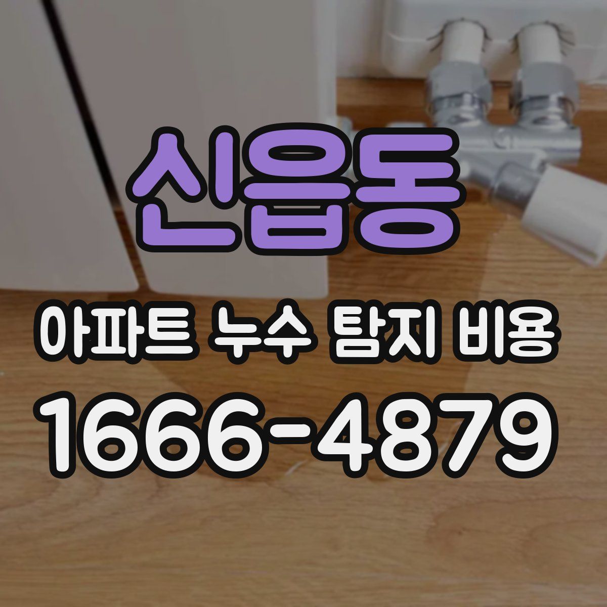 신읍동 아파트 누수 탐지 비용