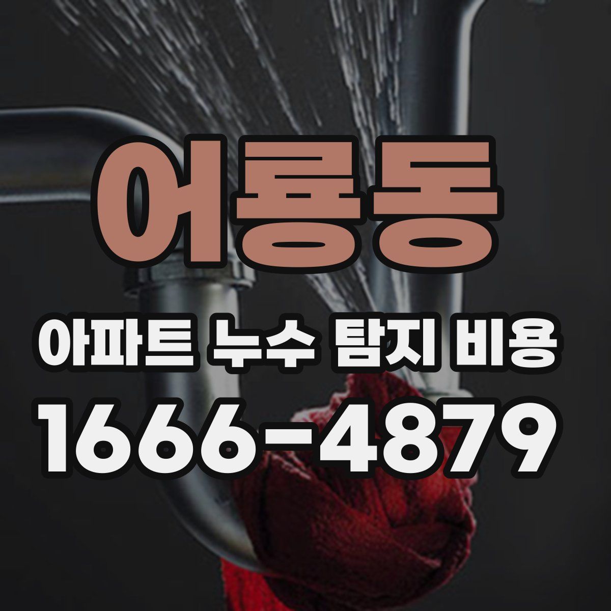 어룡동 아파트 누수 탐지 비용