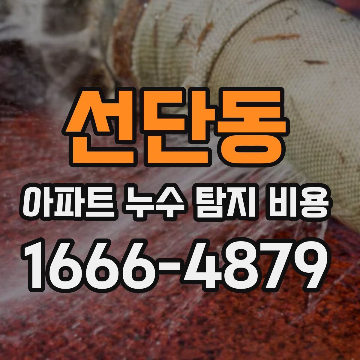 선단동 아파트 누수 탐지 비용