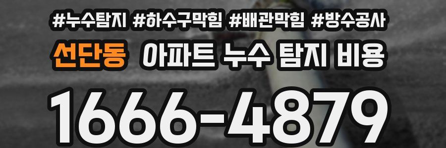 선단동 아파트 누수 탐지 비용