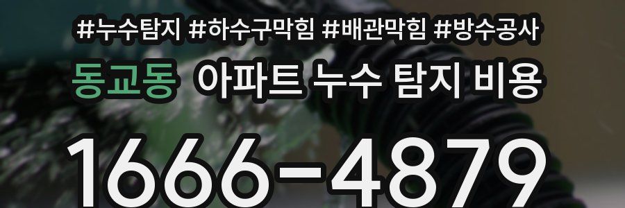 동교동 아파트 누수 탐지 비용