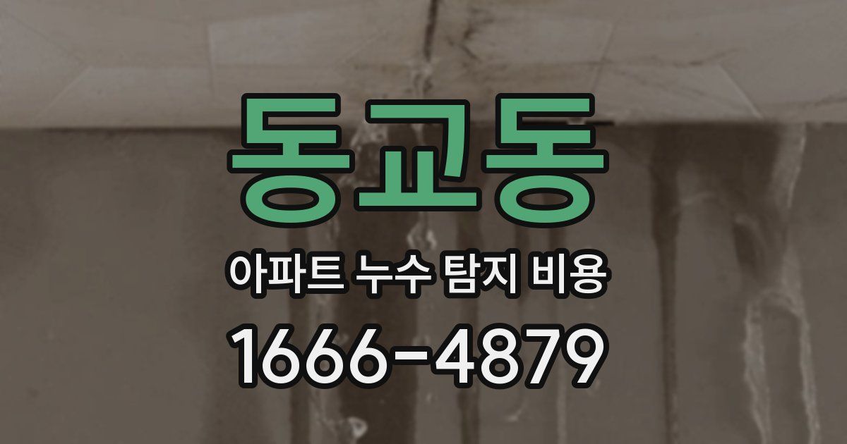 동교동 아파트 누수 탐지 비용