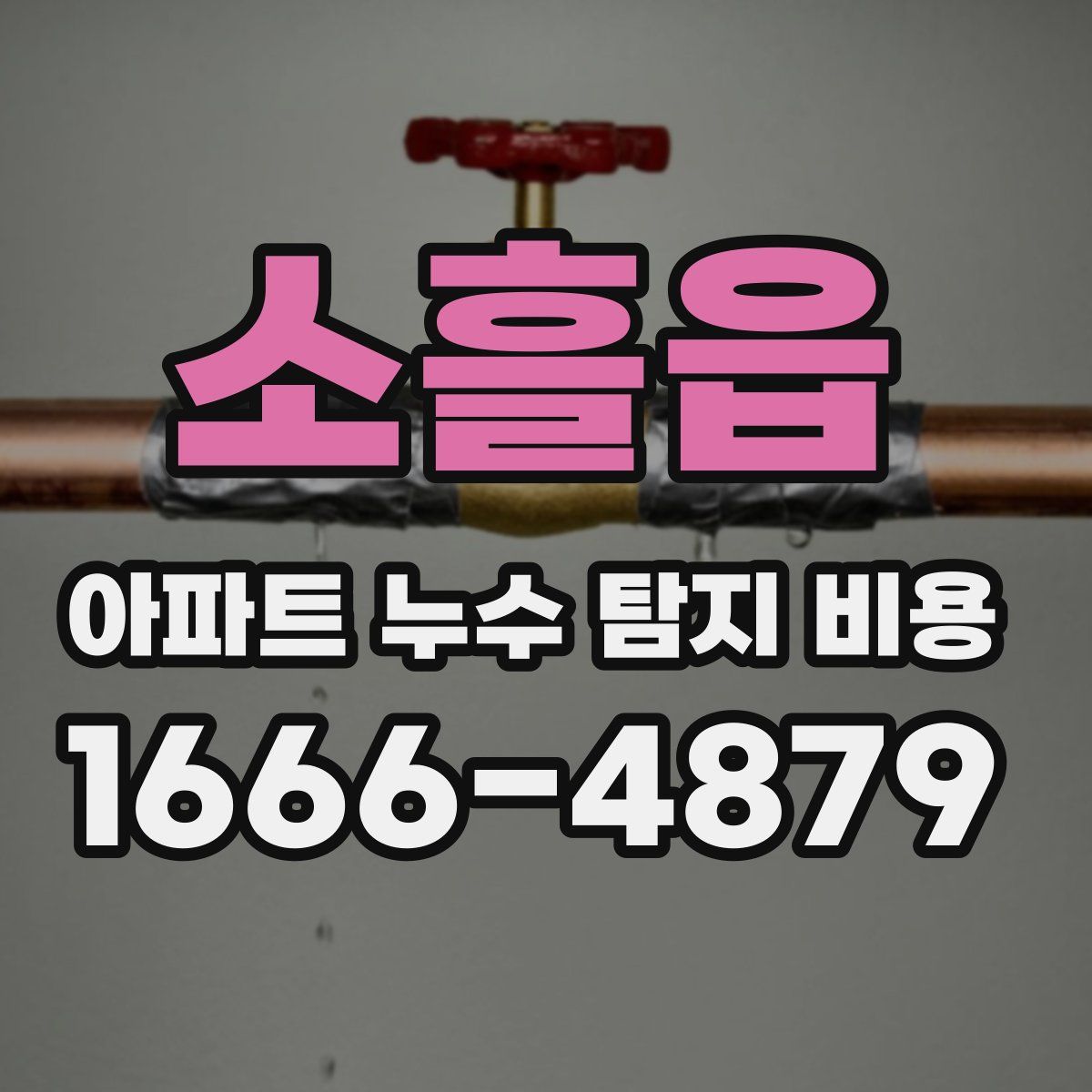 소흘읍 아파트 누수 탐지 비용