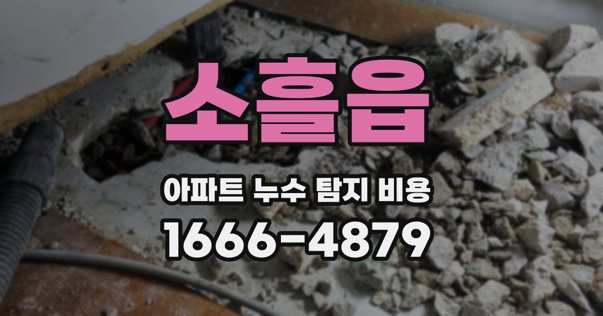 소흘읍 아파트 누수 탐지 비용