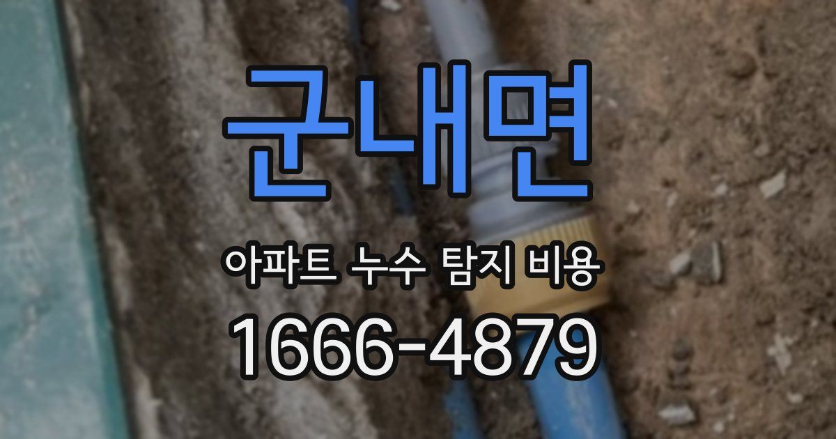 군내면 아파트 누수 탐지 비용