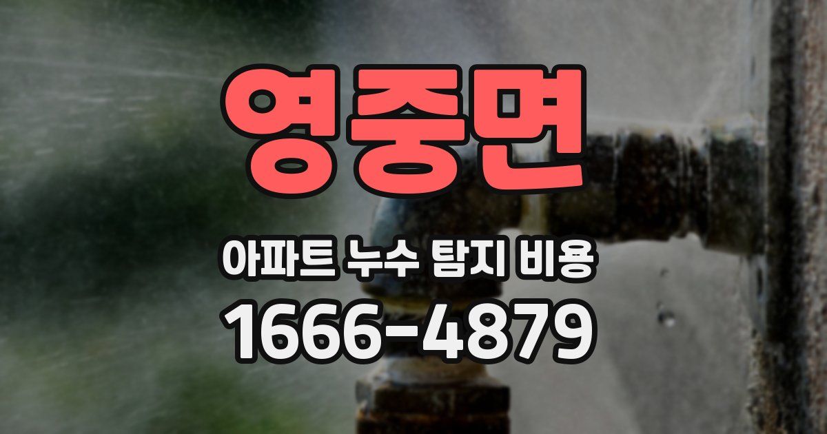 영중면 아파트 누수 탐지 비용