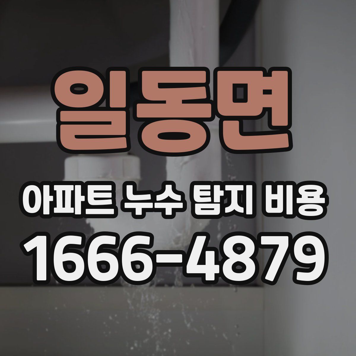 일동면 아파트 누수 탐지 비용