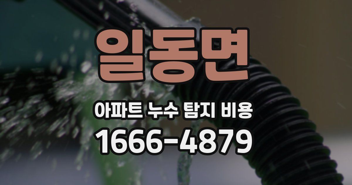 일동면 아파트 누수 탐지 비용