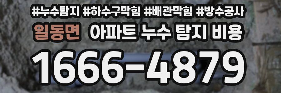 일동면 아파트 누수 탐지 비용