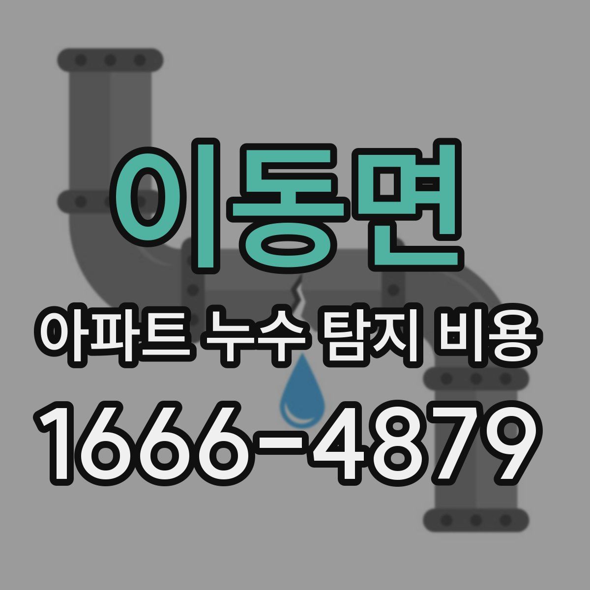 이동면 아파트 누수 탐지 비용
