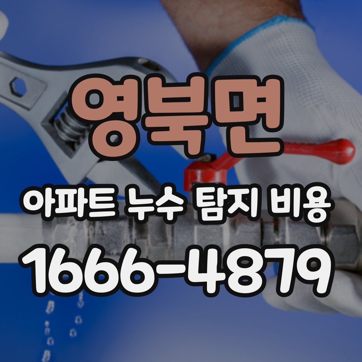 영북면 아파트 누수 탐지 비용