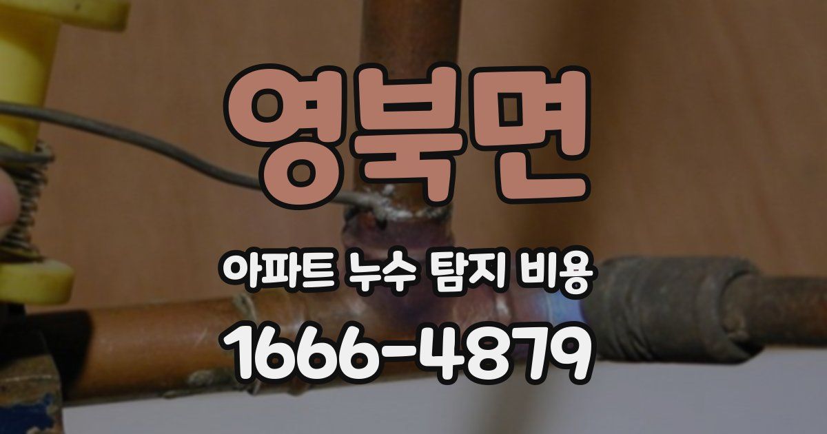 영북면 아파트 누수 탐지 비용