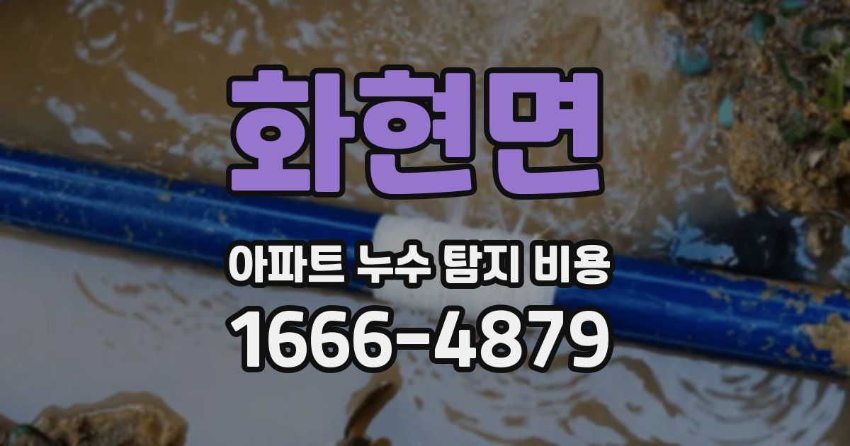 화현면 아파트 누수 탐지 비용