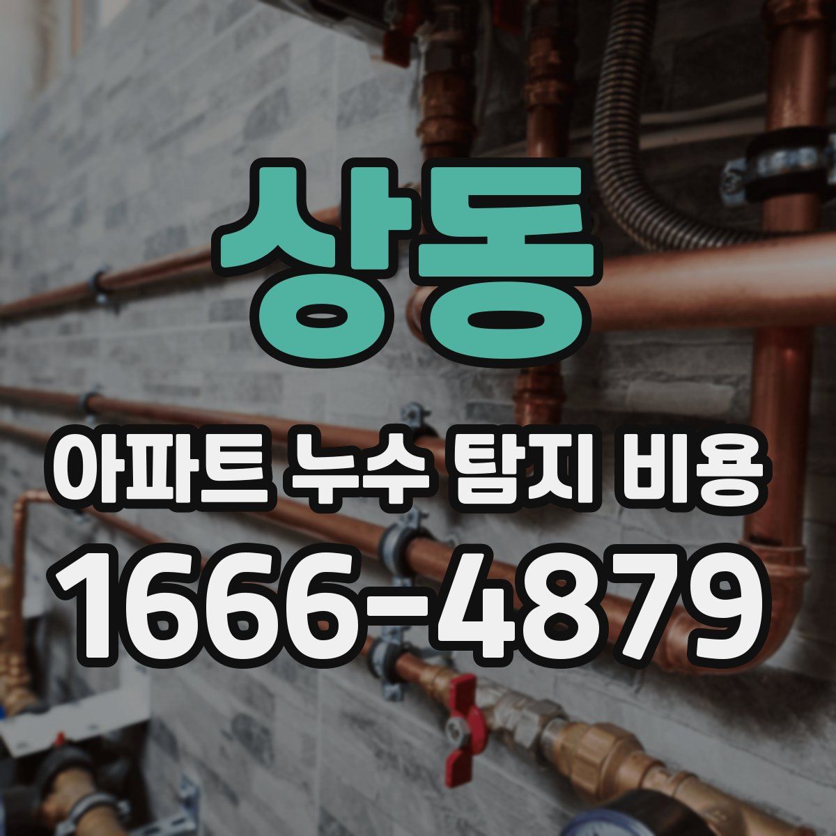 상동 아파트 누수 탐지 비용