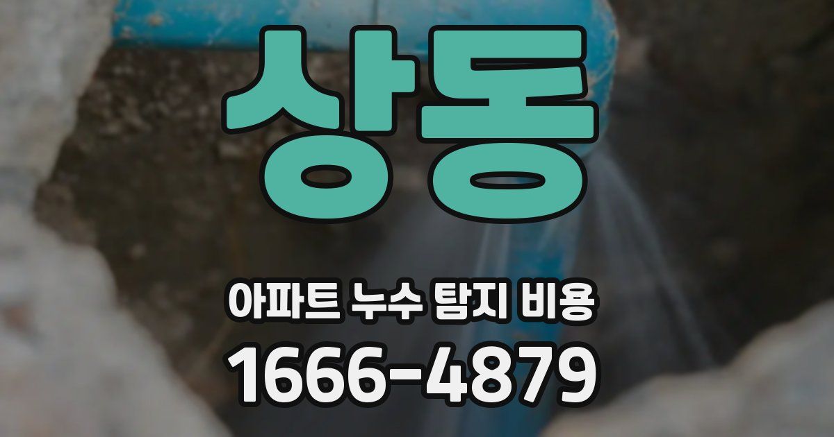 상동 아파트 누수 탐지 비용