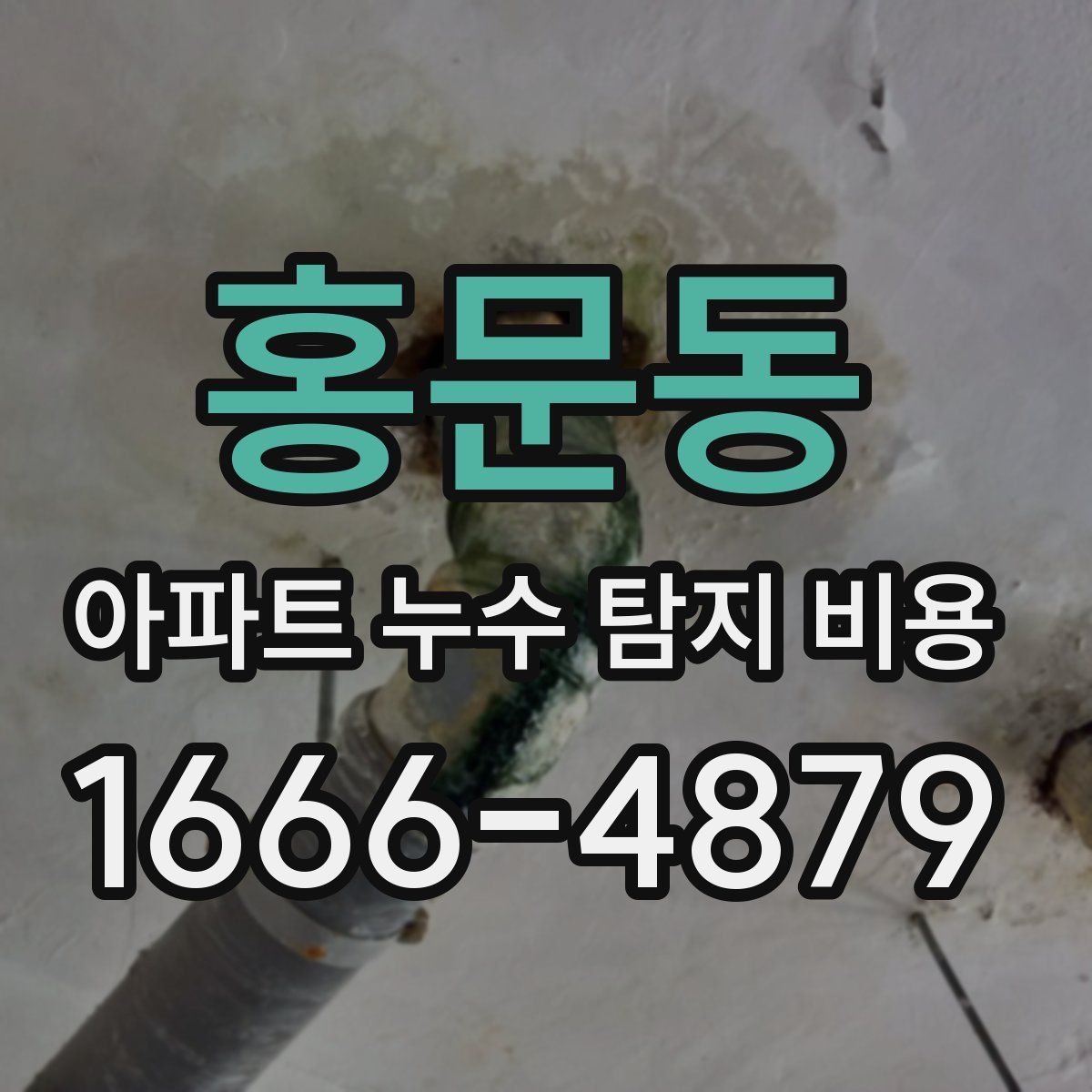 홍문동 아파트 누수 탐지 비용