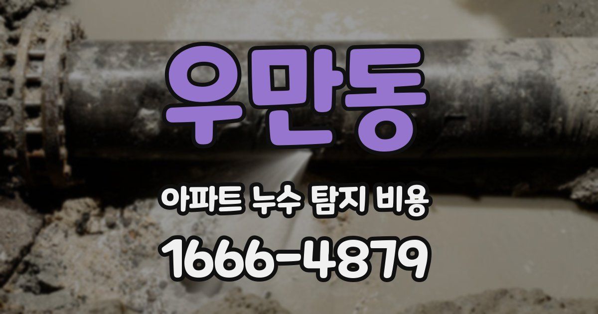 우만동 아파트 누수 탐지 비용