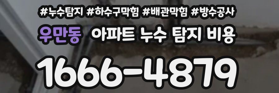우만동 아파트 누수 탐지 비용