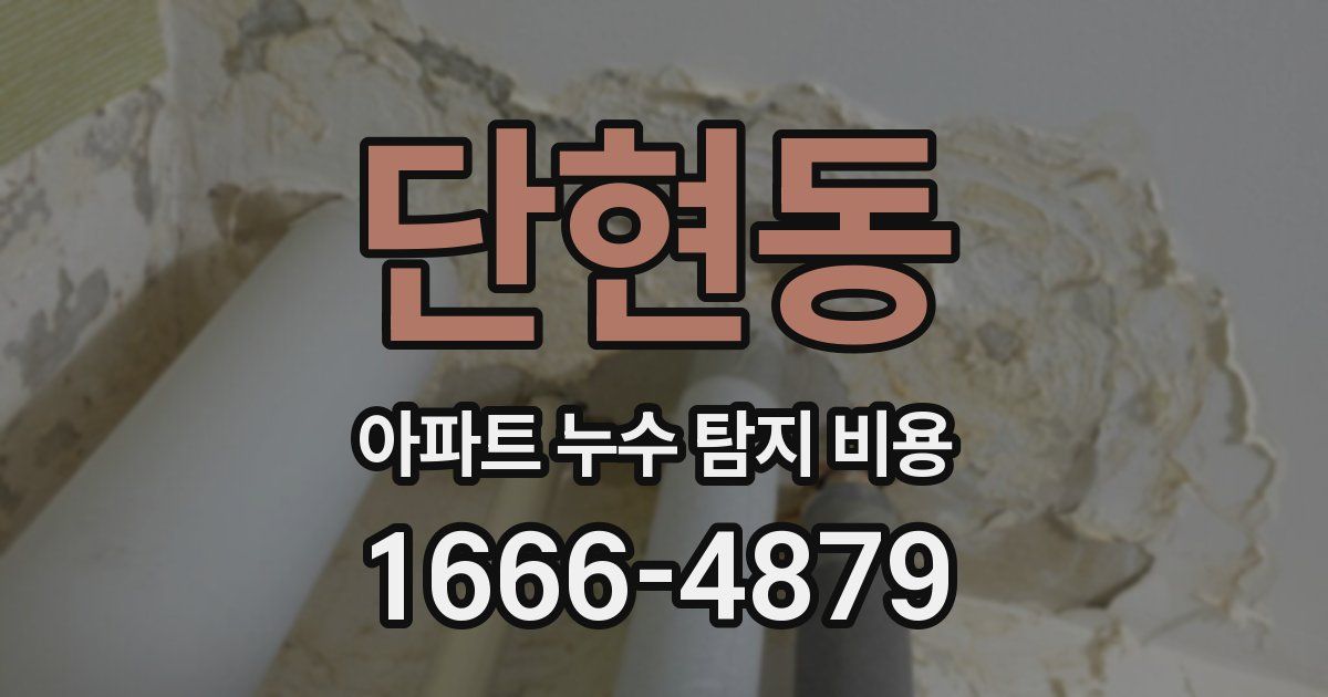 단현동 아파트 누수 탐지 비용