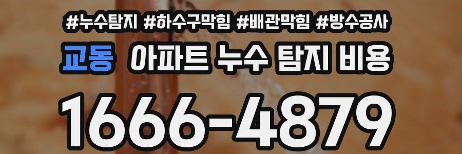 교동 아파트 누수 탐지 비용