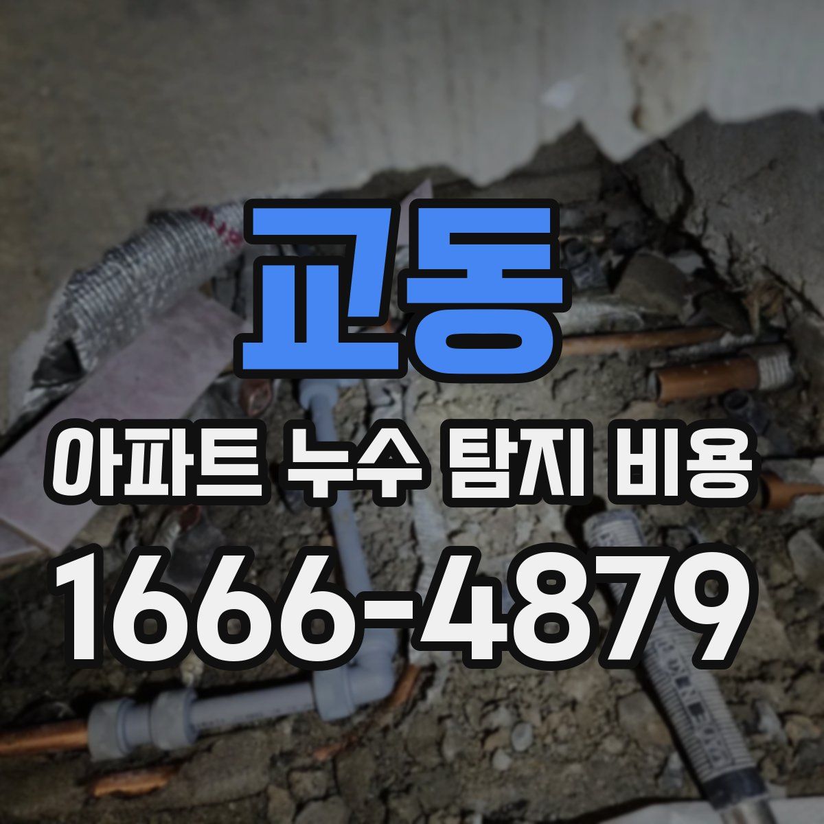 교동 아파트 누수 탐지 비용