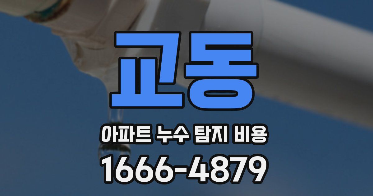 교동 아파트 누수 탐지 비용
