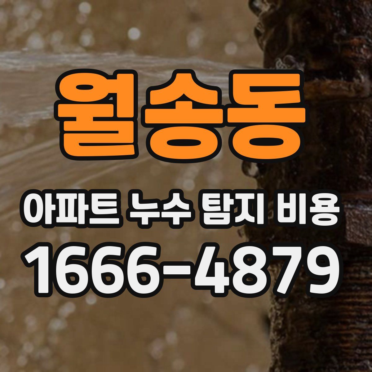 월송동 아파트 누수 탐지 비용